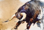 Vorschaubild El Toro (5080 x 3536)