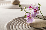 Vorschaubild Zen-Garten Ruhe und Ausgeglichenheit (5616 x 3744)