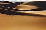 Vorschaubild Sandhügel in der Wüste (5616 x 3744)