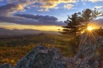 Vorschaubild Bergwald Panorama (6000 x 4000)