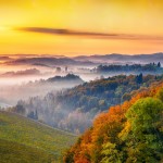 Vorschaubild Morgenrot mit Wald (4355 x 4355)