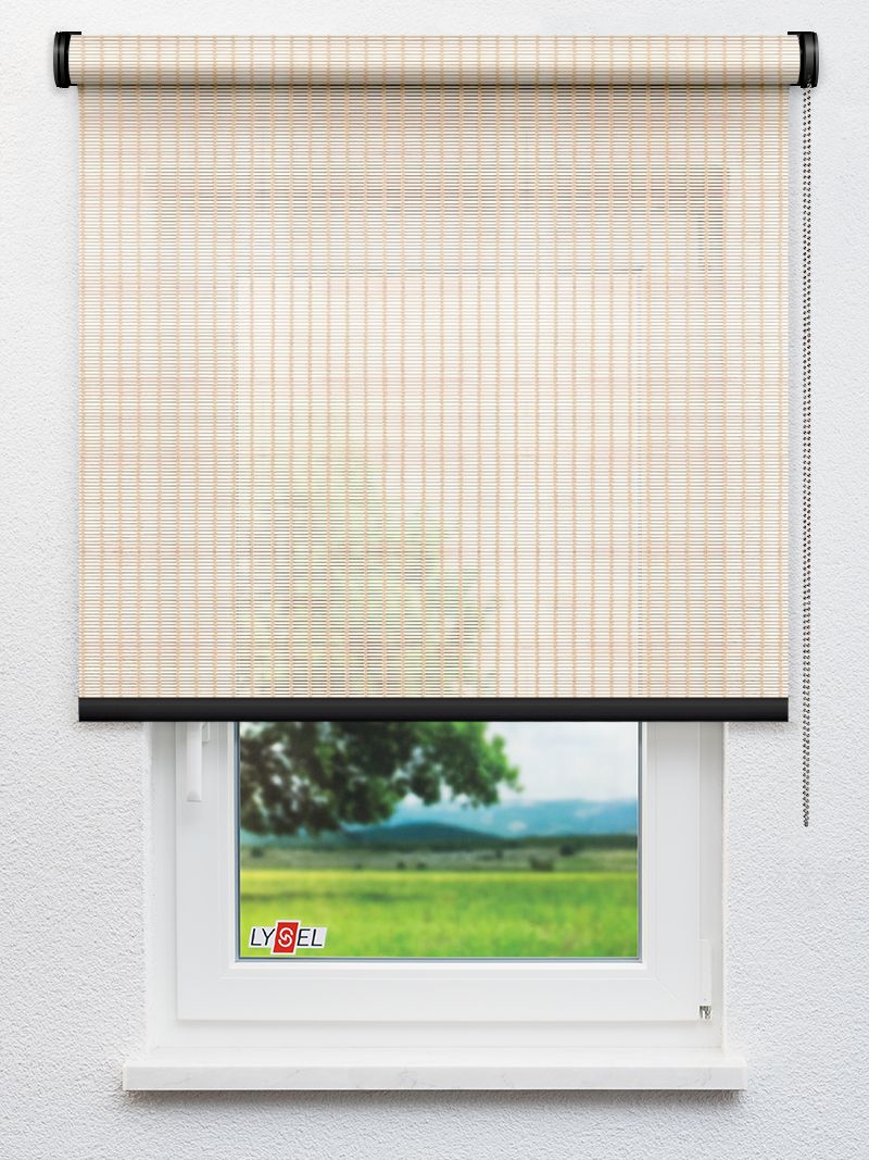 R2017 Fensteransicht