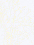 Avila 00.162 Detailansicht
