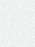 Emilia 5501.3801 Detailansicht