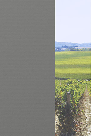 Preview Genthin 31.078e 2