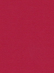Lamelle Bulgarien 4008.1062
 Detailansicht