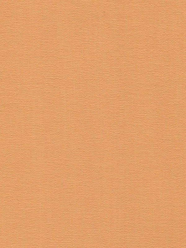 Detailansicht Lamelle sterreich 1606.1033
