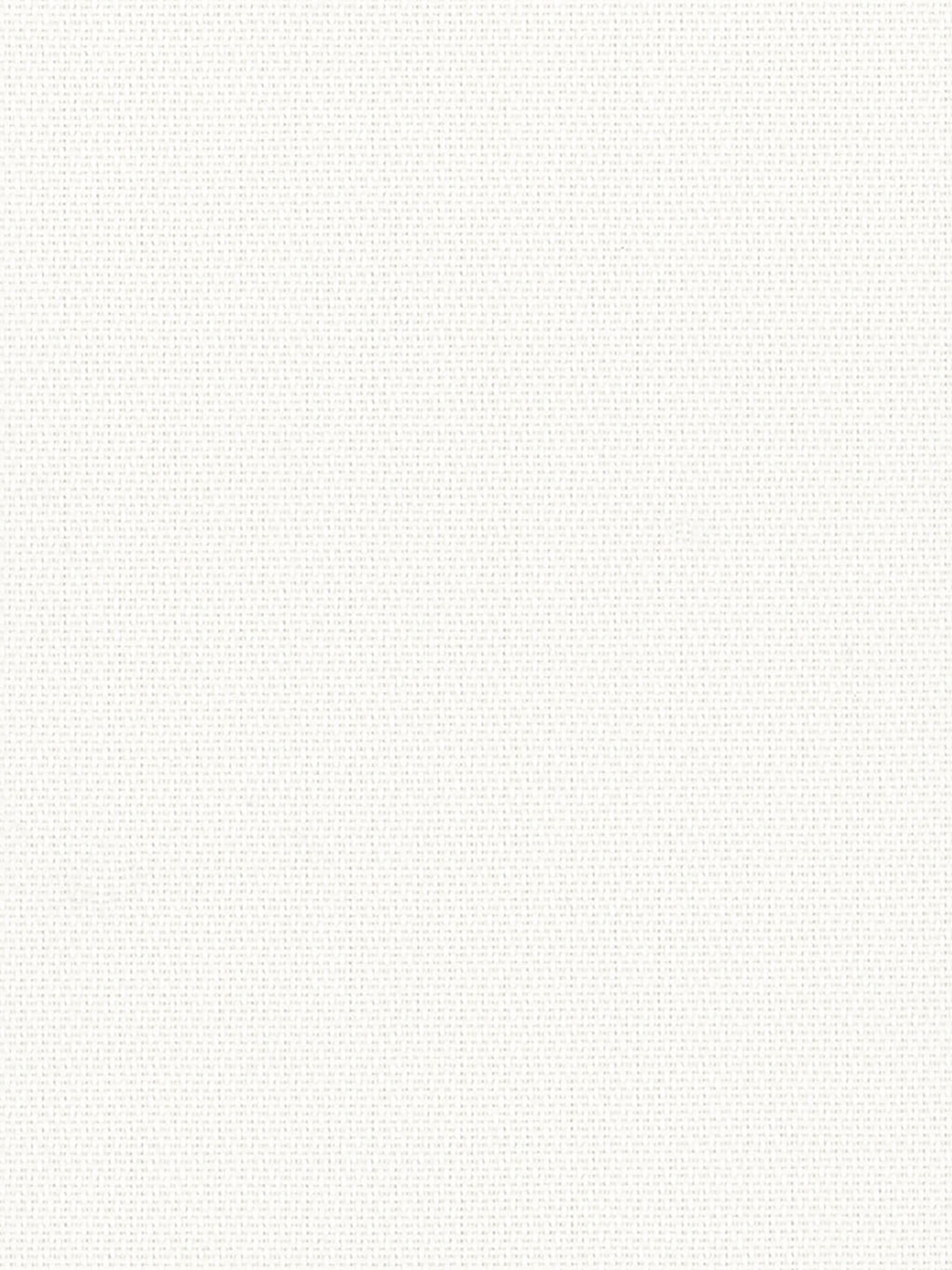 Detailansicht Altrheinsee 014035