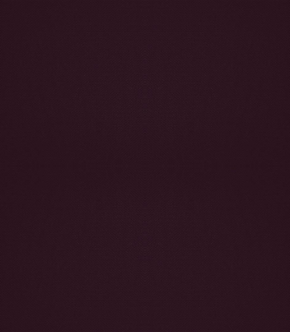 Detailansicht Bergwitzsee 040184