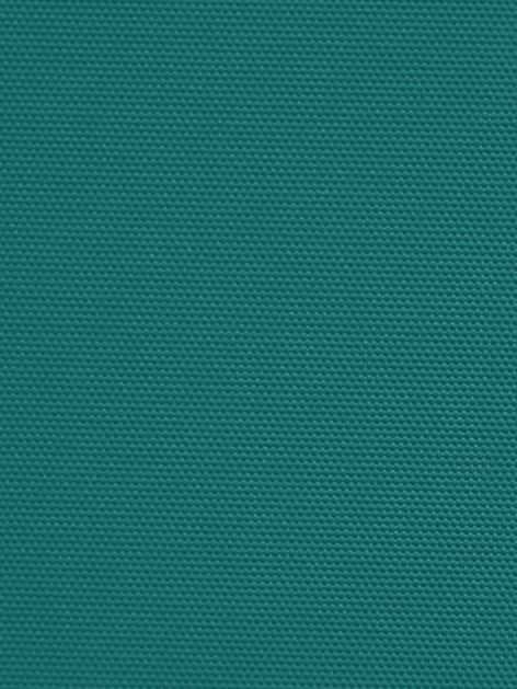 Detailansicht Mondsee 062035