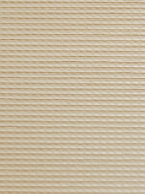 Detailansicht Sternsee 022221