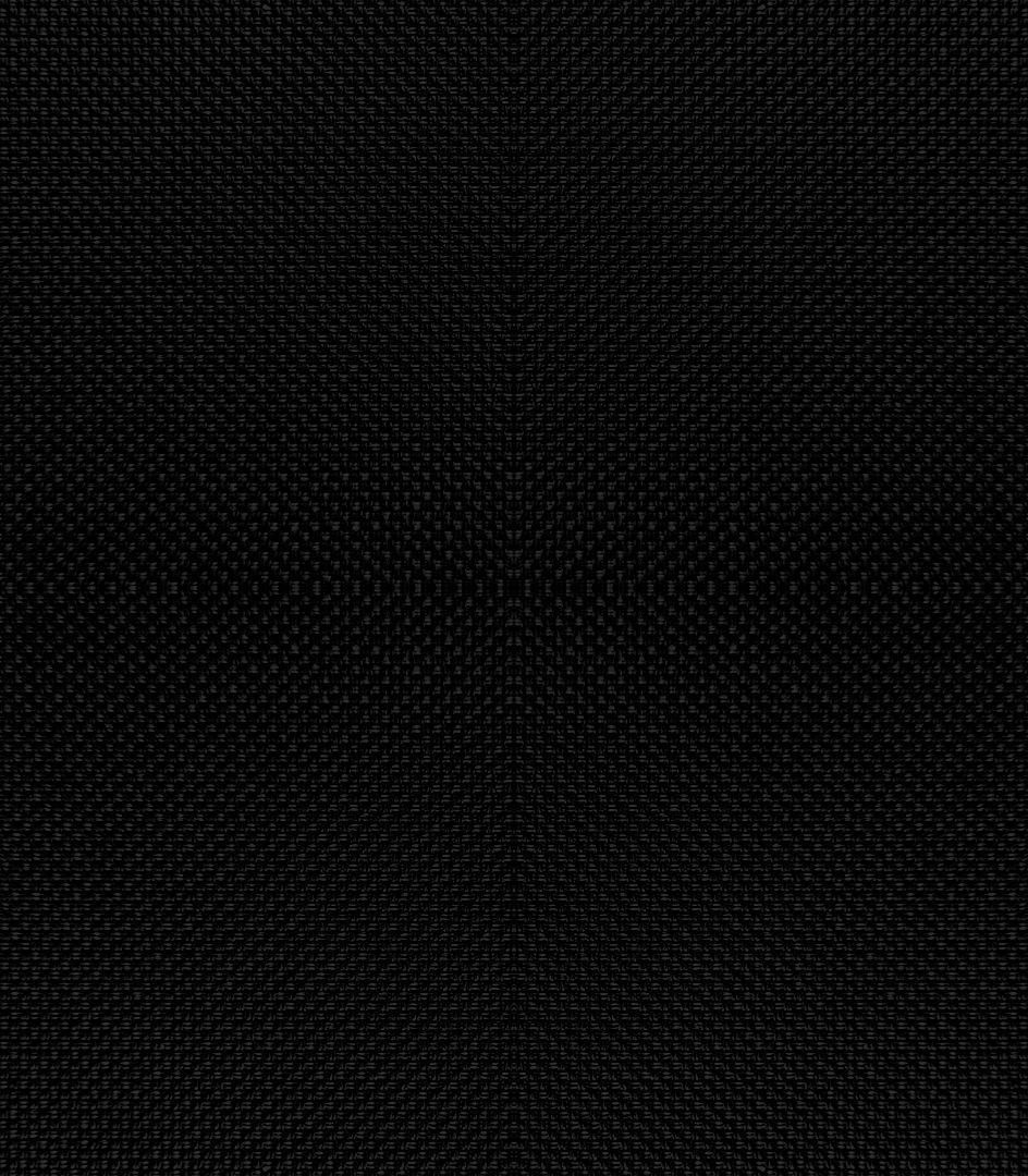 Detailansicht Woblitzsee 083613