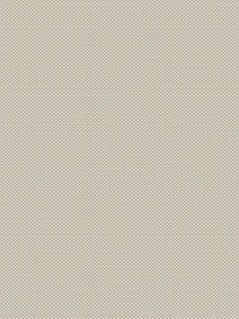 Detailansicht Aalkistensee 023907