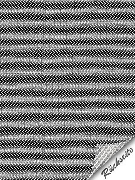 Detailansicht Altrheinsee 084039