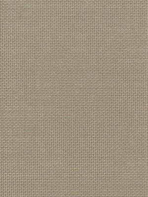 Detailansicht Scharmützelsee 076926