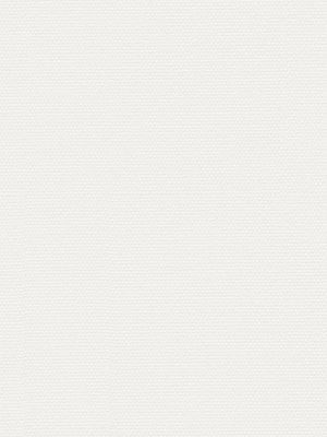 Detailansicht Rügen 00.176