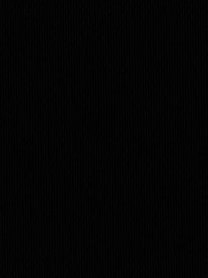 Detailansicht Rügen 40.176