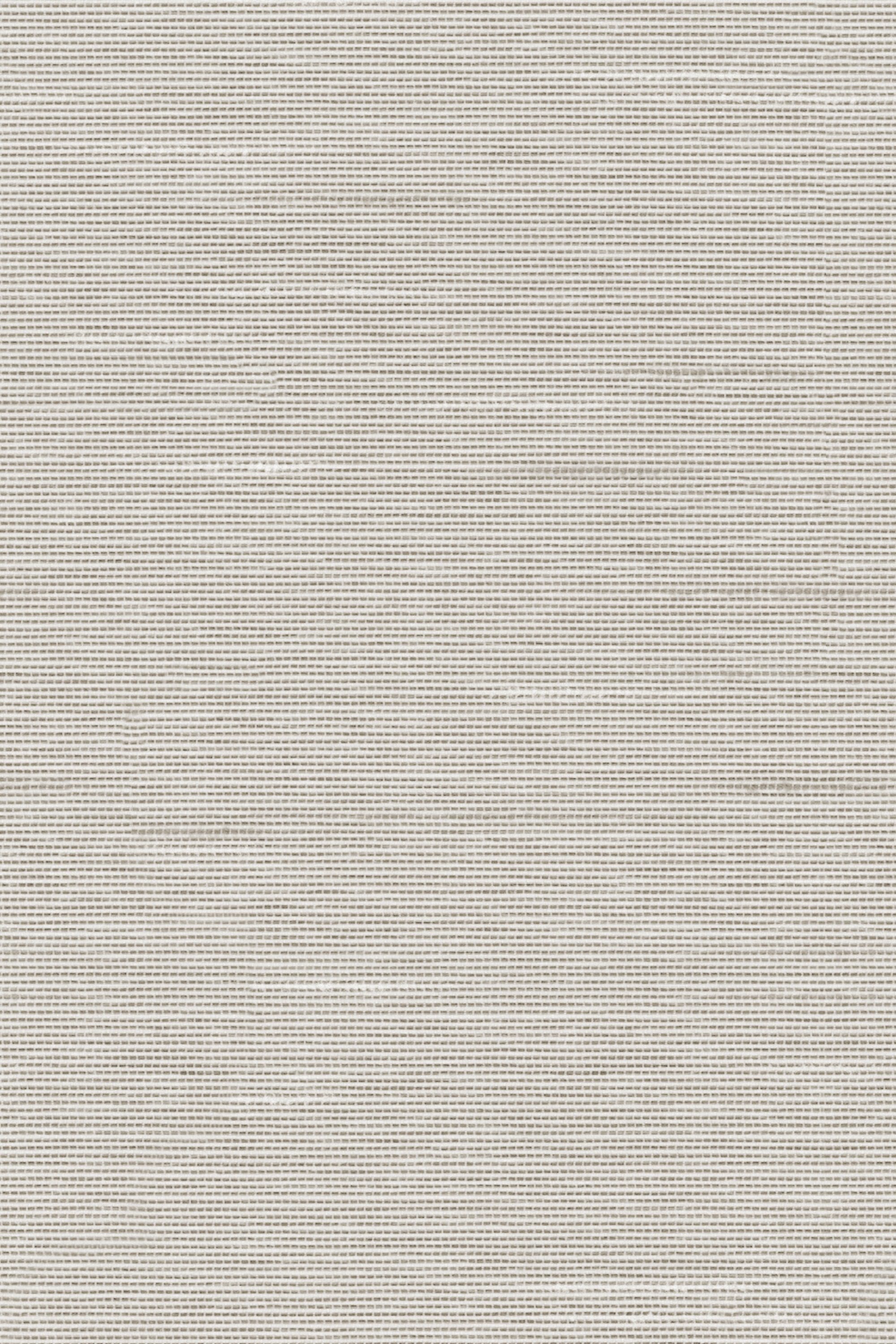 Detailansicht Lamelle Haiti BO 2003.1185