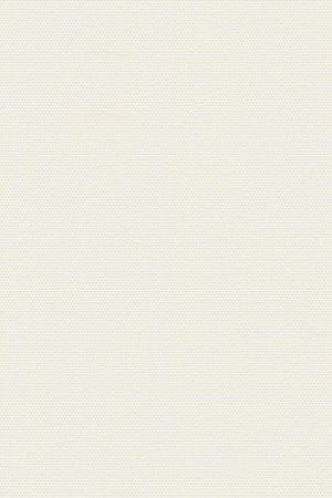 Detailansicht Lamelle Bulgarien 2004.1058
