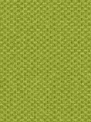 Stoff Oberpfalz 98.024