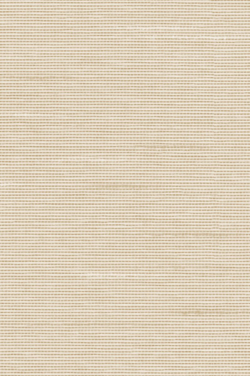 Preview Lamelle Haiti 2002.1165 5