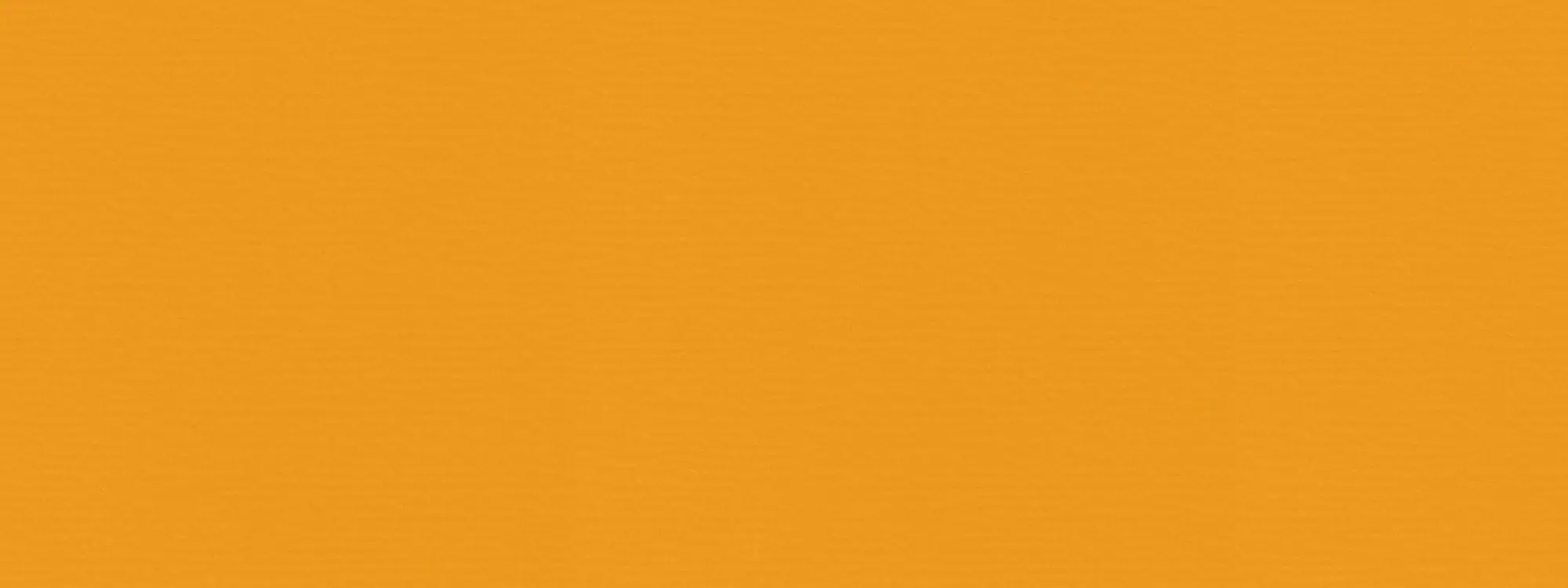 Detailansicht Markise Texout Glänzend 1496