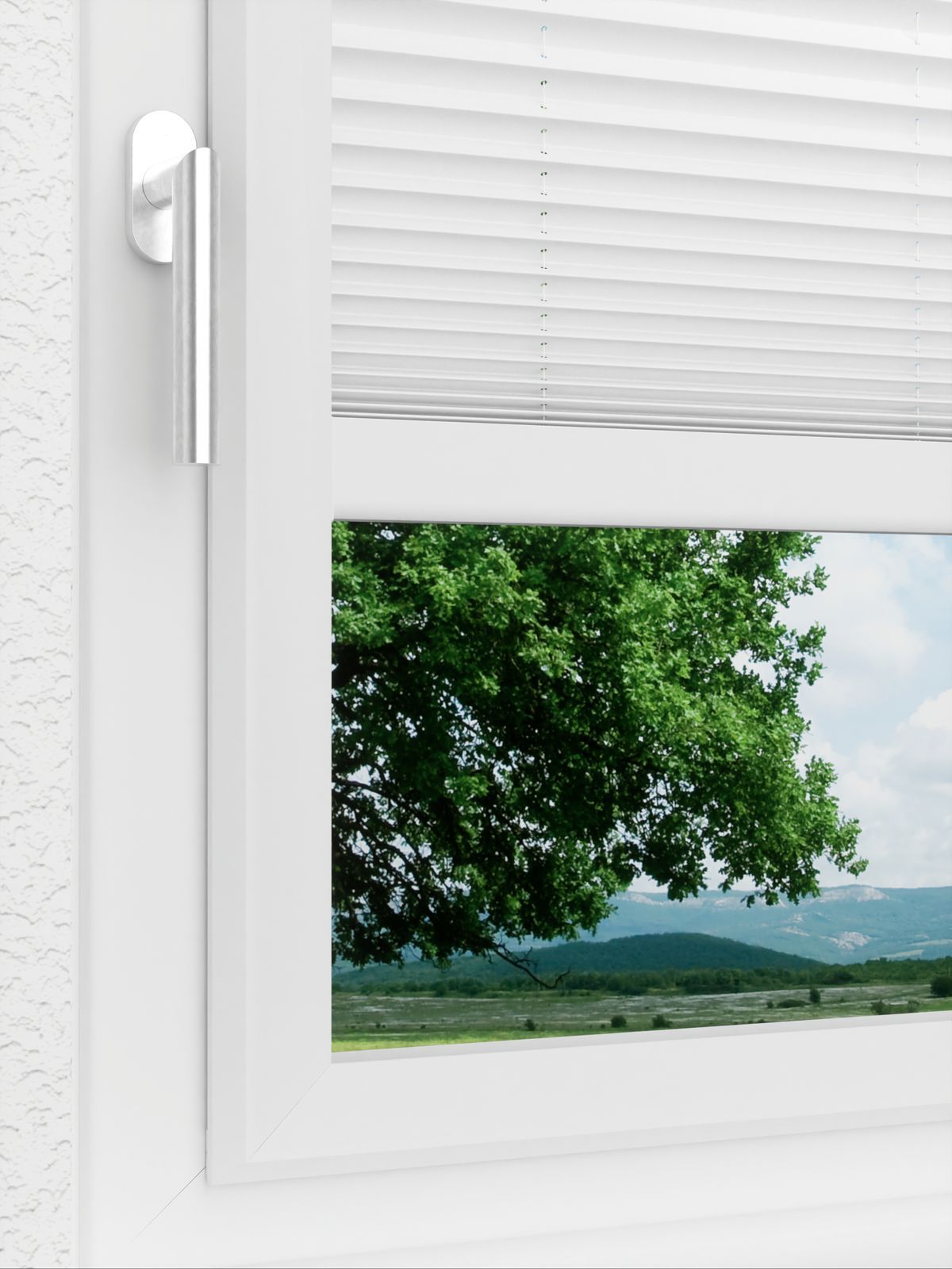 Detailansicht LYSEL HOME Plissee 103B Aralia BO