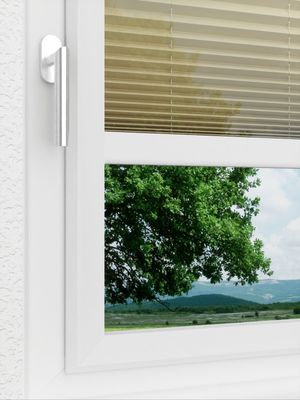 Preview LYSEL HOME Plissee 332A Flame 3