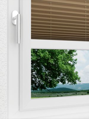 Preview LYSEL HOME Plissee 235A Aralia 3