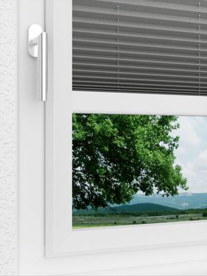 Preview LYSEL HOME Plissee 136A Abelia Pearl 3