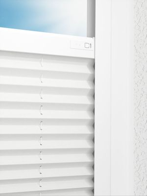 Preview LYSEL HOME Plissee 121A Pinus BO 2