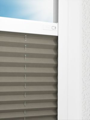 Preview LYSEL HOME Plissee 221A Pinus BO 2