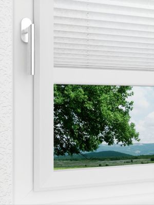 Preview LYSEL HOME Plissee 204A Arum 3