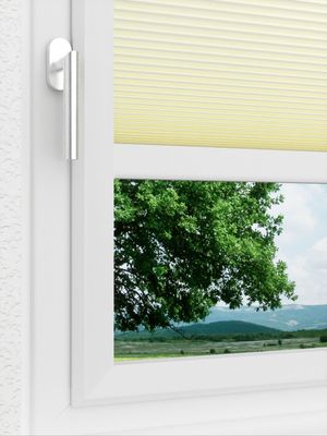Preview LYSEL HOME Plissee 313A Evelyne Wabe 3