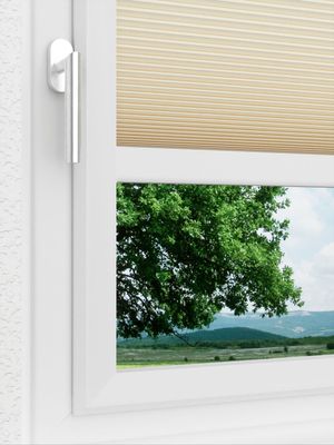 Preview LYSEL HOME Plissee 013A Alba LI Wabe 3