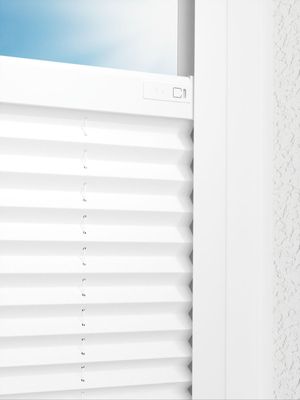 Preview LYSEL HOME Plissee 205B Aralia 2