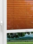 LYSEL HOME Plissee 429A Flame Fensteransicht