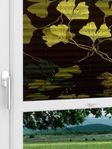 LYSEL HOME Plissee 428A Ginkgos Midnight Fensteransicht