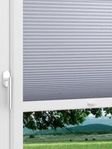 LYSEL HOME Plissee 312A Lanea BO Wabe Fensteransicht