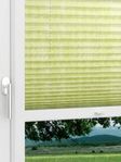 LYSEL HOME Plissee 417A Resolutos Fensteransicht