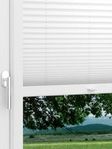 LYSEL HOME Plissee 103B Aralia BO Fensteransicht