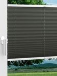 LYSEL HOME Plissee 202B Aralia BO Fensteransicht