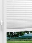 LYSEL HOME Plissee 209B Aralia Pearl Fensteransicht