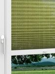 LYSEL HOME Plissee 436A Fine Tissue Fensteransicht