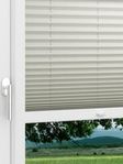 LYSEL HOME Plissee 212B Aralia Pearl Fensteransicht