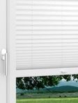 LYSEL HOME Plissee 205B Aralia Fensteransicht