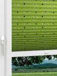 LYSEL HOME Plissee 402A Meadow Sheep Fensteransicht