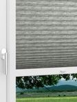 LYSEL HOME Plissee 323A Harpsichord Fensteransicht