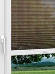 LYSEL HOME Plissee 433A Paso Dance Fensteransicht