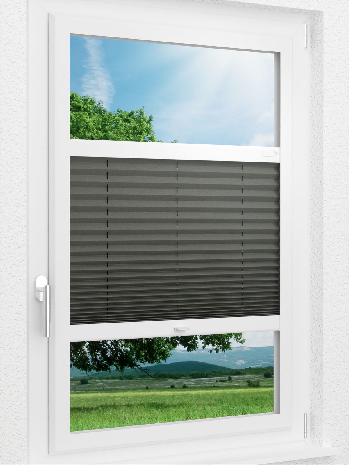 Detailansicht LYSEL HOME Plissee 208A Aralia